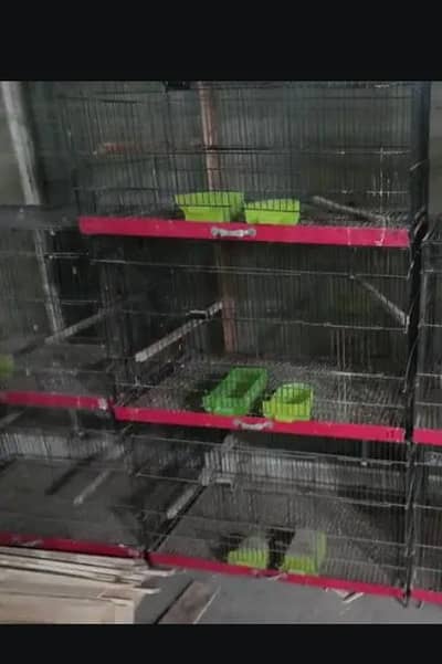 4 portion cage