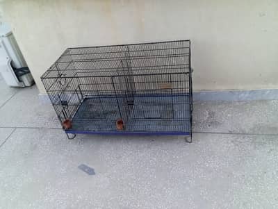 Birds cage