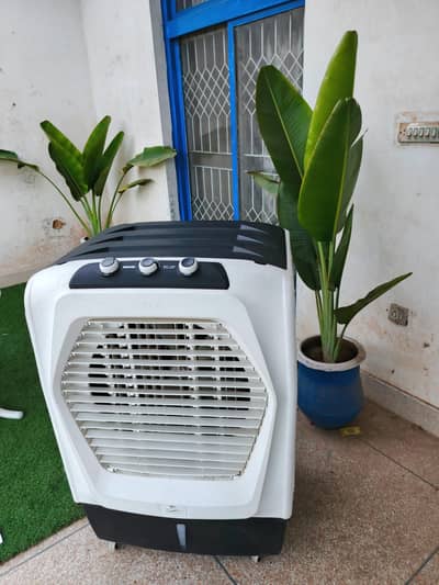 ROYAL FANS air cooler | Room Cooler | Air Chiller with Cooling Pads