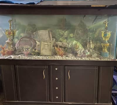 Fish Aquarium