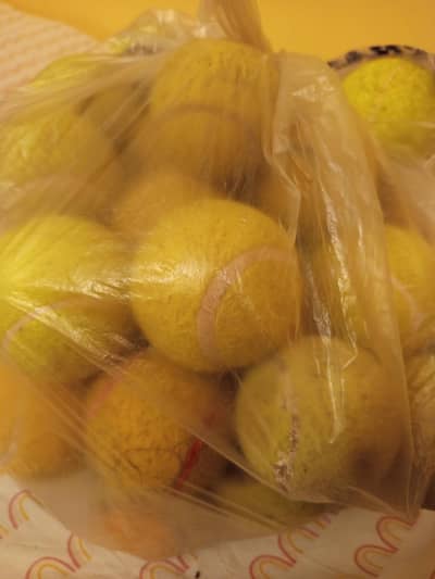 cricket balls 50 pcs total for sale