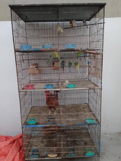 4 Portion Cage Heavy weight with complete Birds setup