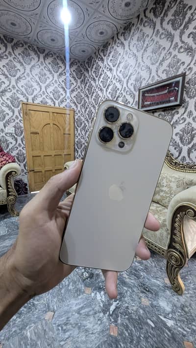 Apple iPhone 13 Pro Max