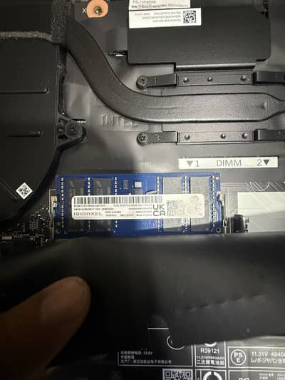 32Gb Ram DDR5 5600 Mhz
