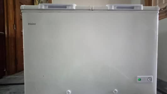 Haier D Freezer