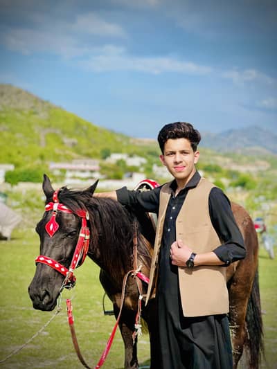 Rehan Khan 