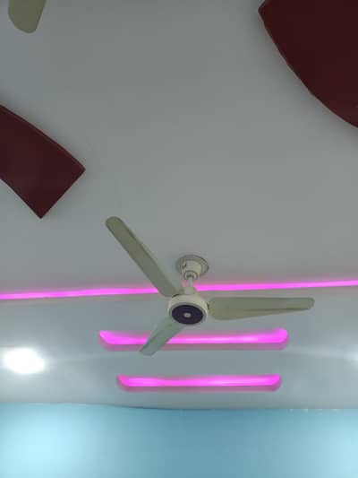 8 Pak Punjab Ceiling Fans for Sale – Excellent