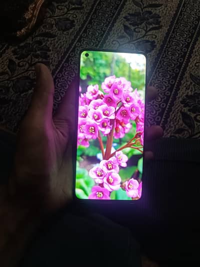 OnePlus 8 dual PTA