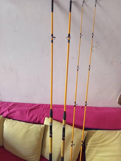 Crocodile rods.