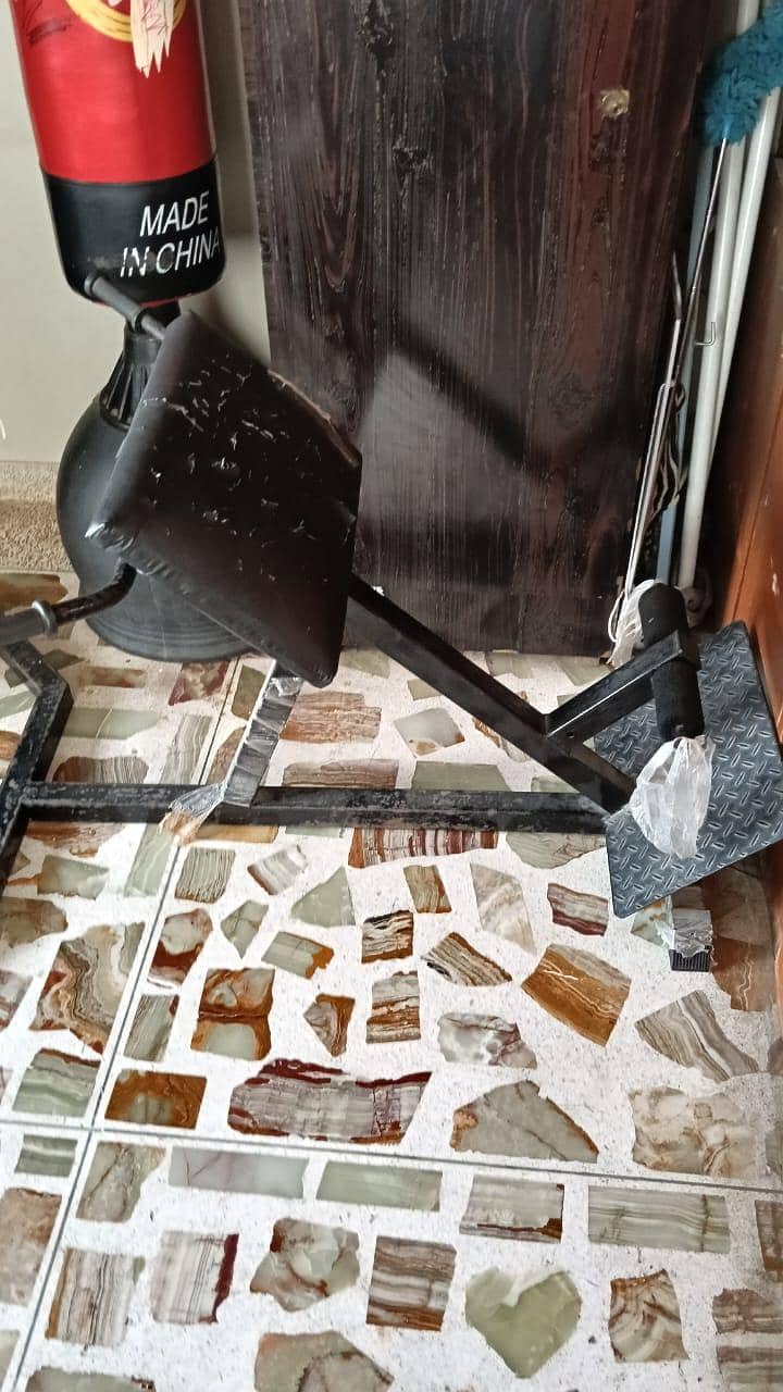 Back extension machine 1