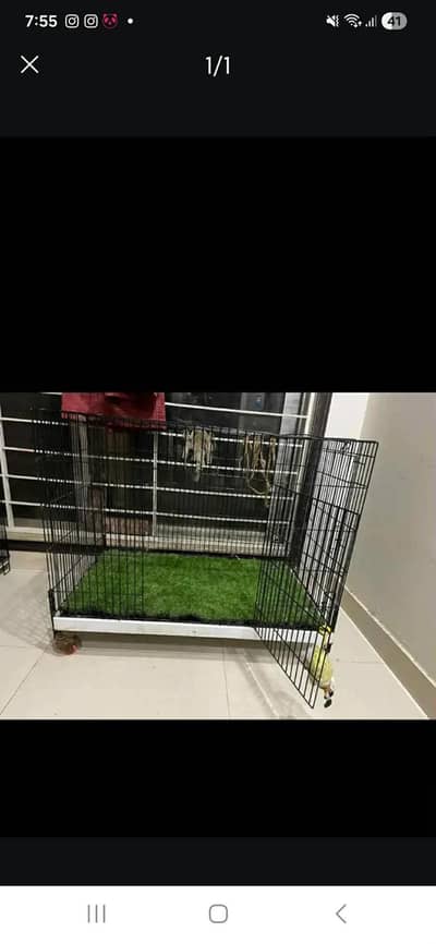 cage for cats and birds
