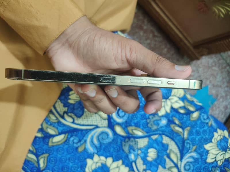 Iphone 13 pro max 4