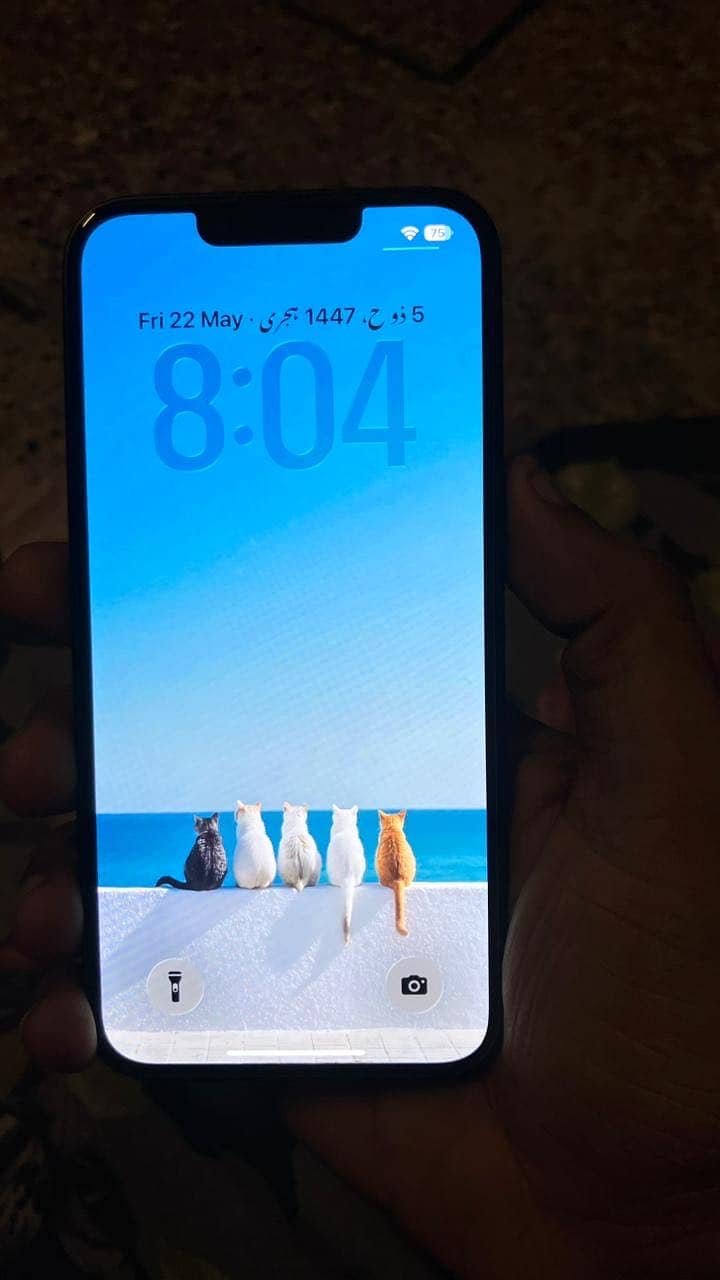 iPhone 16e 3