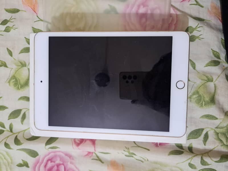 Apple iPad Mini 5th Generation 0