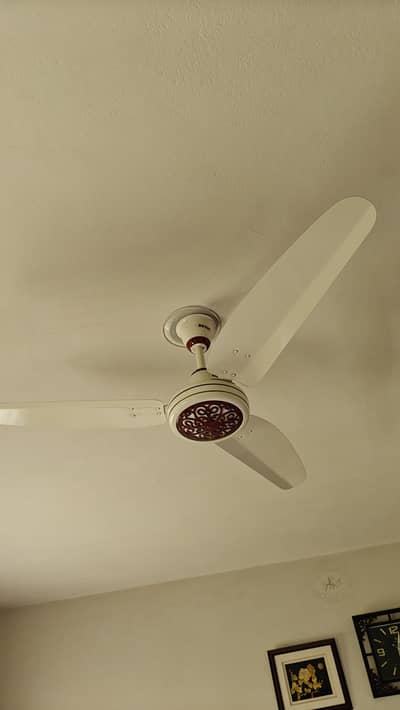 Royal fan for sale