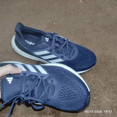 Adidas Pureboost 5 (Brand New Aus Imported)