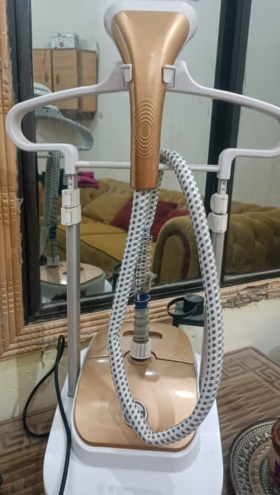 Steamer iron