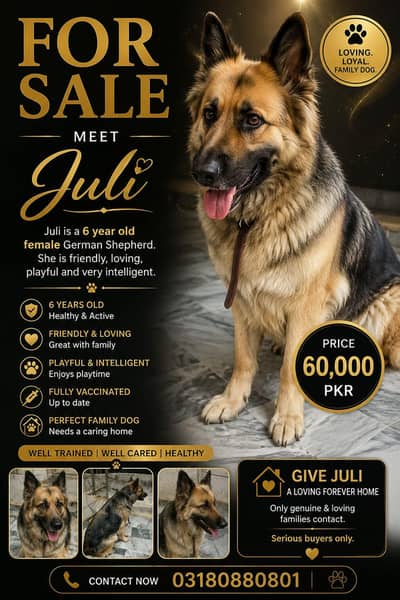German shepherd for sell