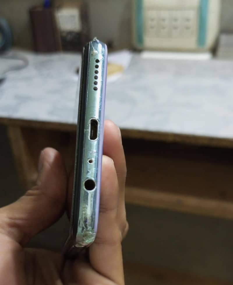 vivos1 1