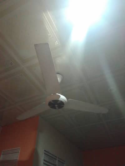 fansasas