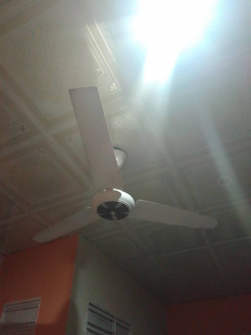 fansasas 0