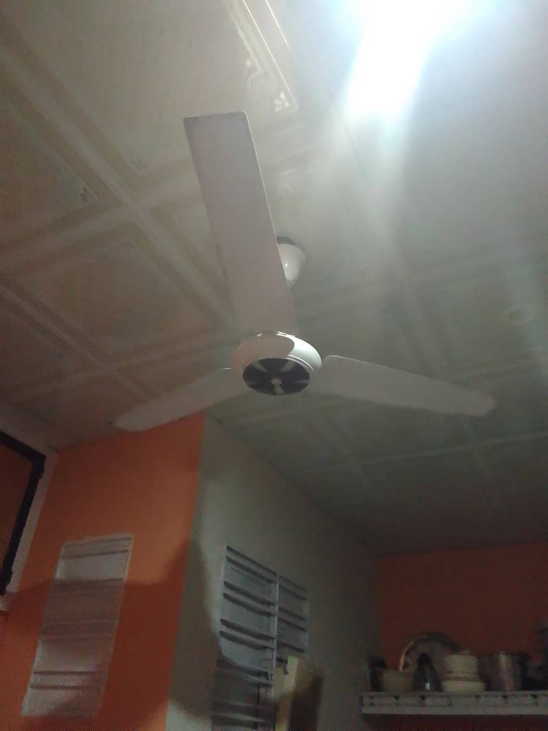 fansasas 1