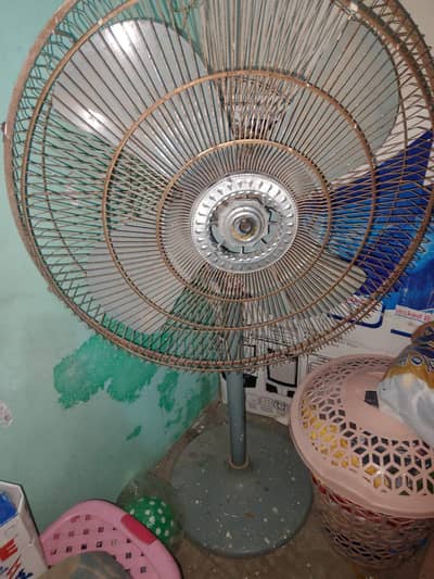 Pedestal fan