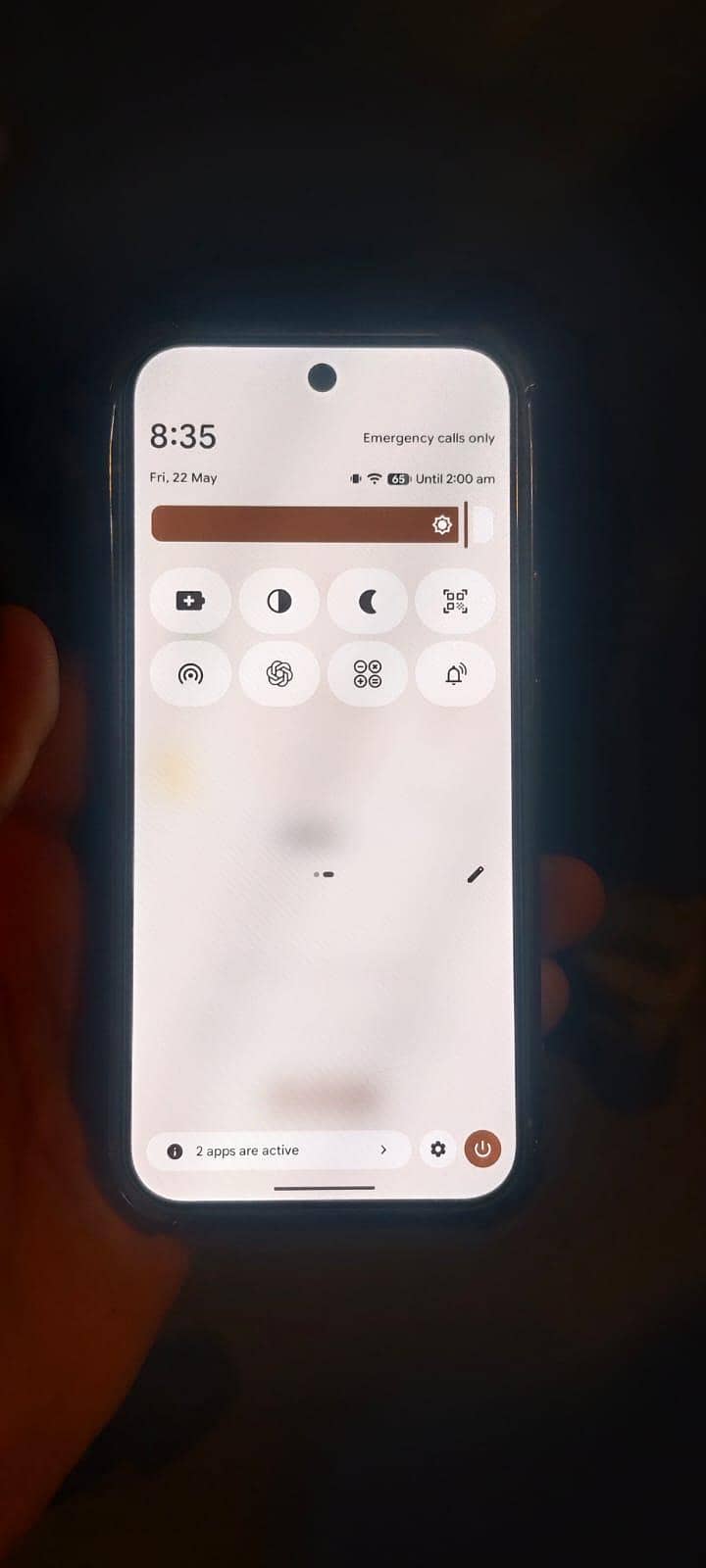 Google Pixel 9 1