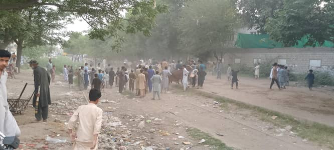 Qasai Available for eid contact as soon as possible