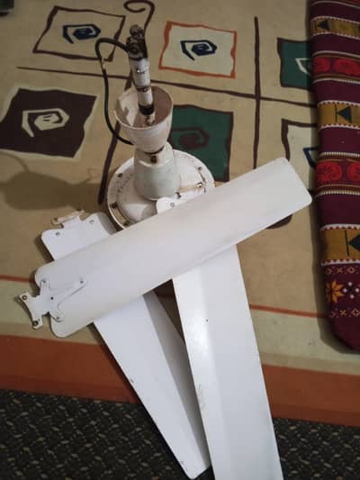 Made in Copper ceiling fan full ok  used ma ha