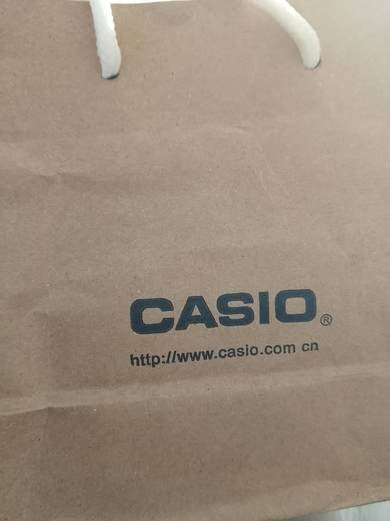 Casio watch 2