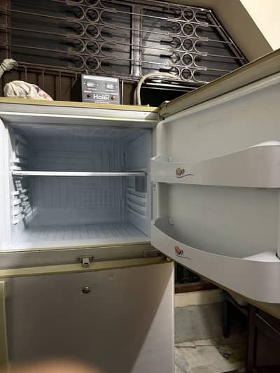 Pel Fridge