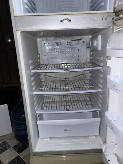 Pel fridge