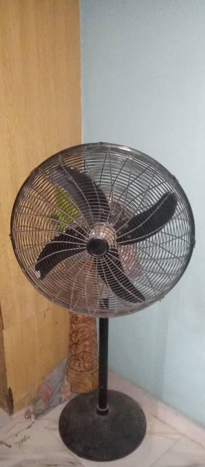 Pedestal Fan