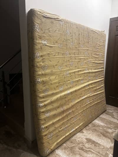 Master molty foam
