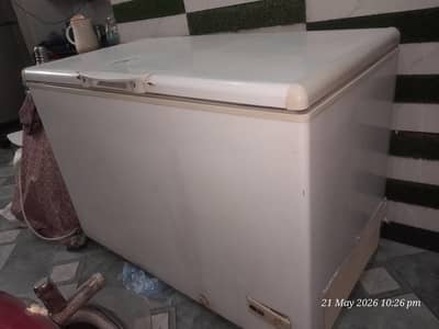 single Door D freezer