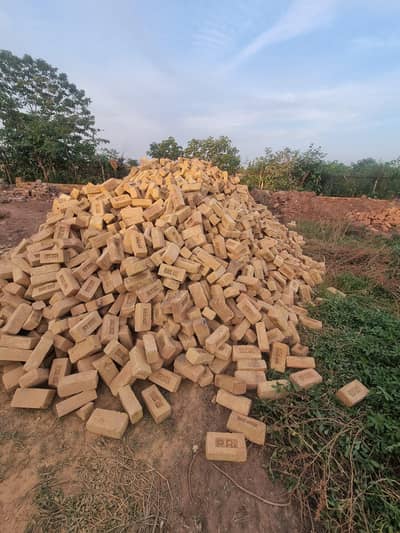 PR-1 Bricks
