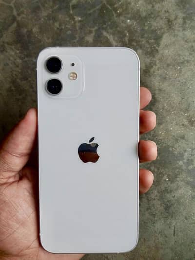 iphone 12 dual pta