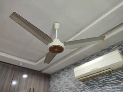 Excellent Condition Fan. 2 Fans Available. .