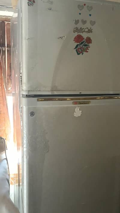 freezer
