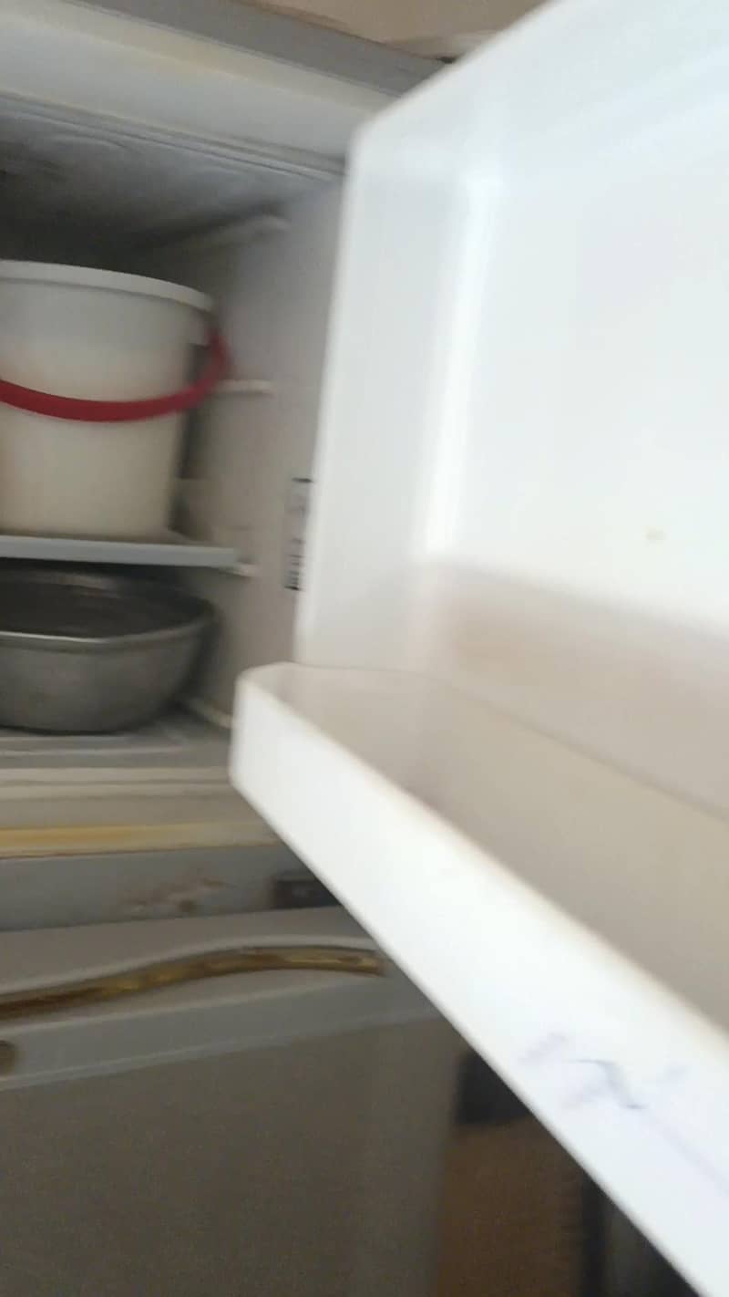 freezer 4