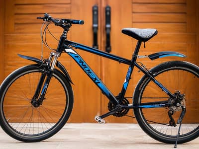 Phoenix bicycle for sale.