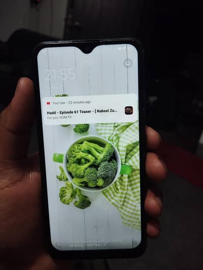 Vivo Y11 All ok phone ha just glass brake ha
