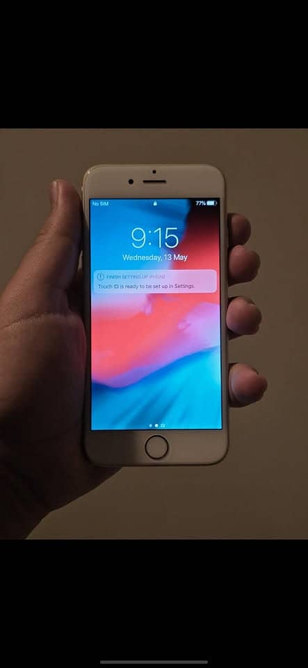 Apple iPhone 6 Plus 1