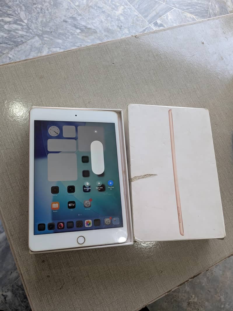 ipad mini 5 with box 1