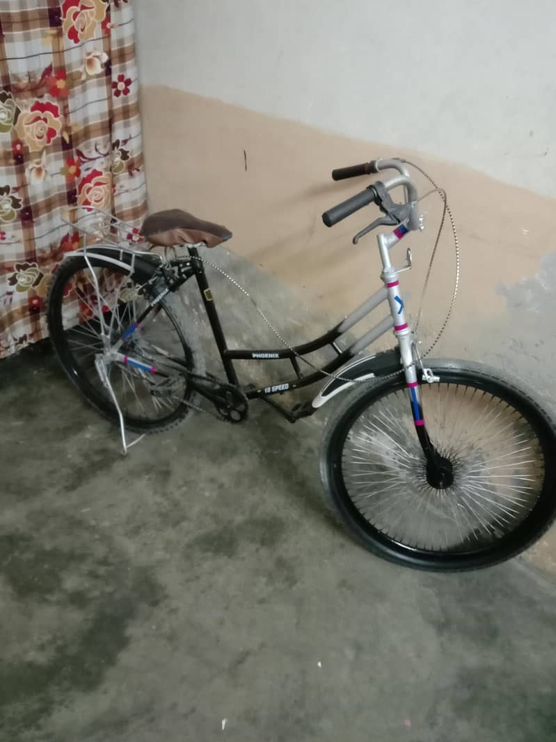 Bicycle 1
