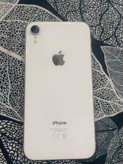 Iphone xr 64 pta approved