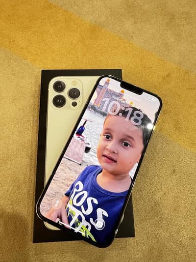 iPhone 13 Pro Max