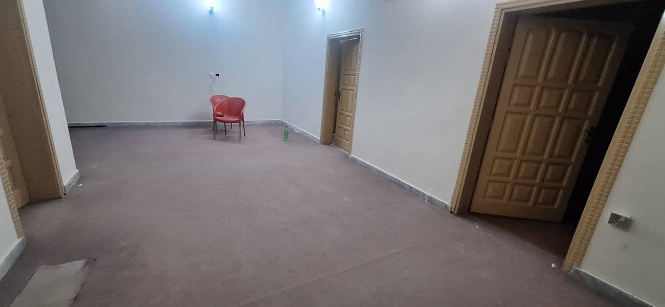 carpet 1