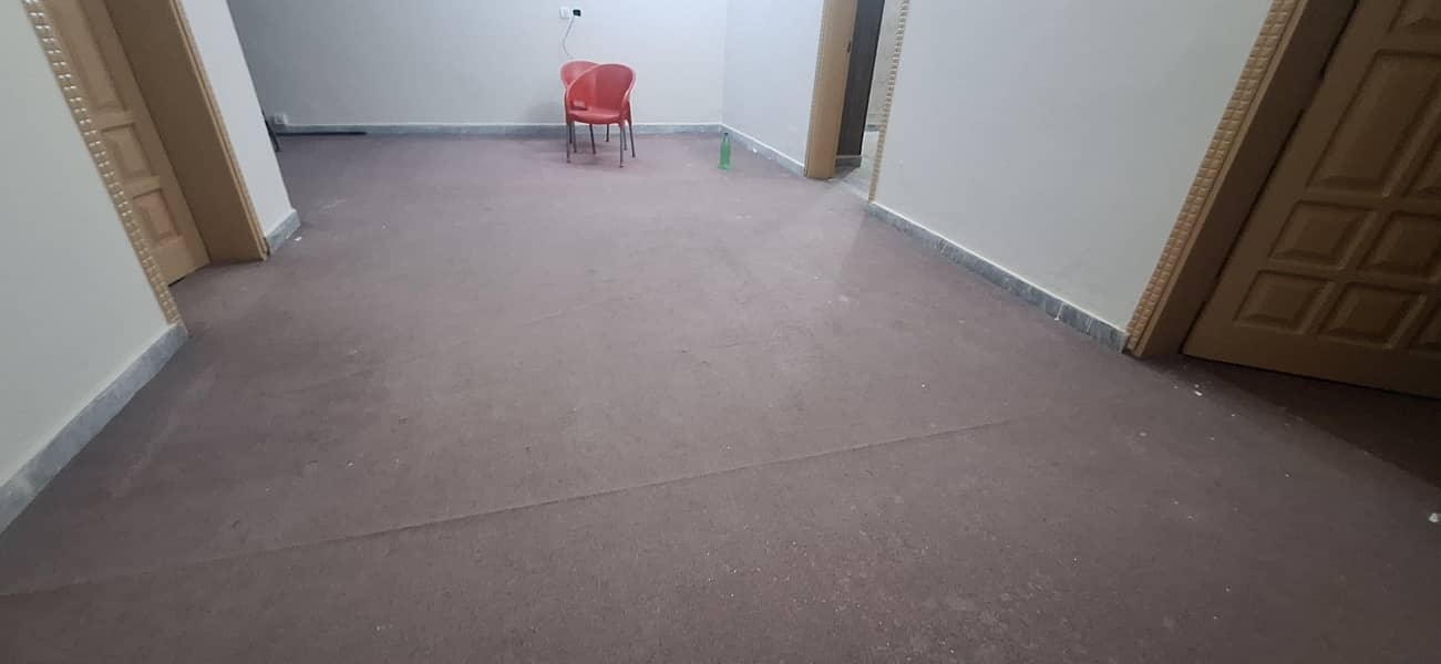 carpet 2